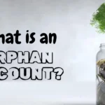 Orphan Accounts Meaning