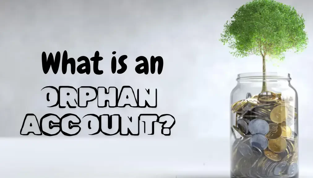 Orphan Accounts Meaning