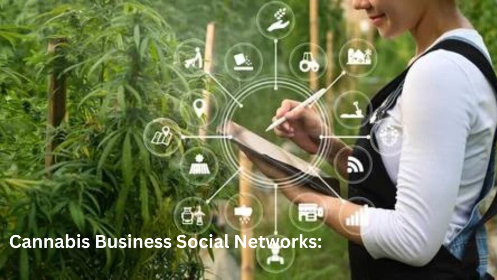 Cannabis Business Social Networks