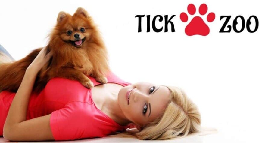 Tickzoo.tv