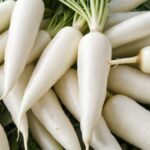 White Carrot