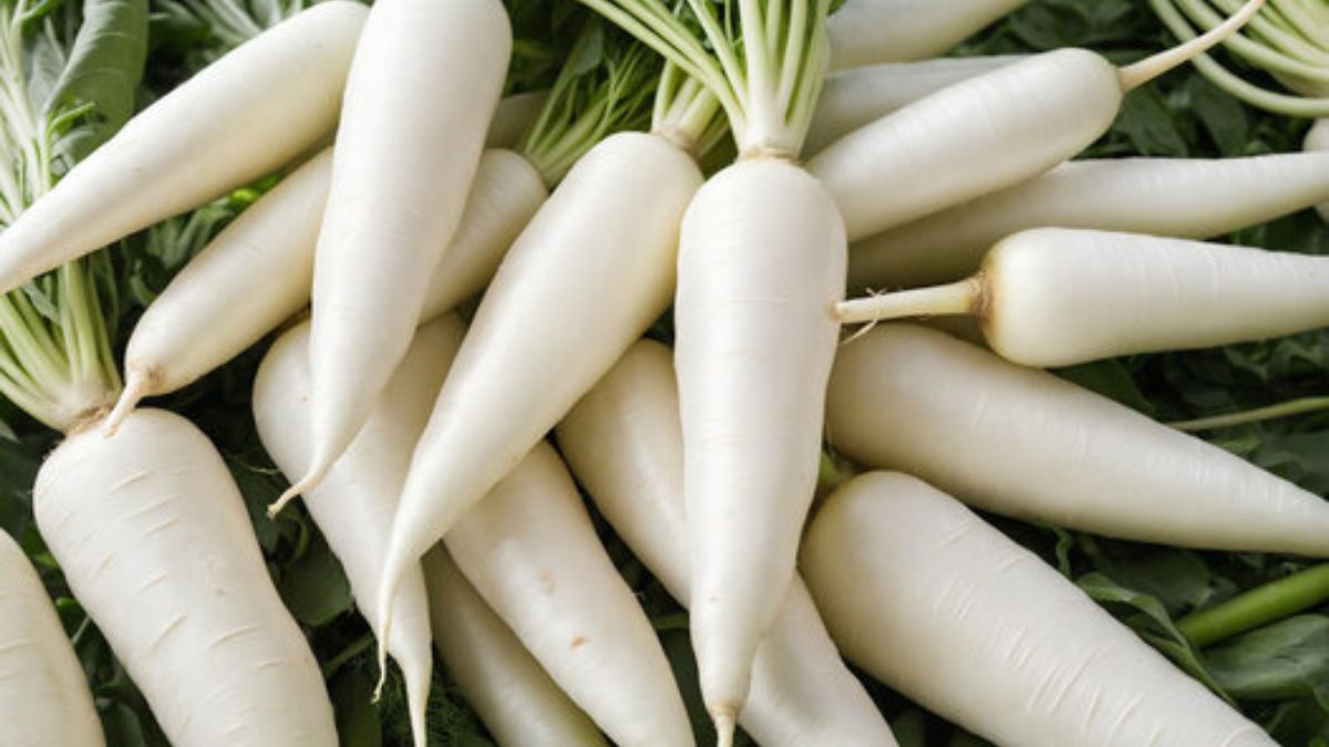 White Carrot