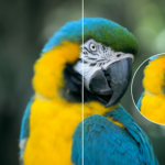 Image Quality with AI