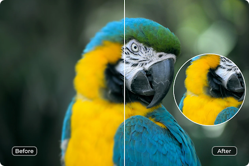 Image Quality with AI