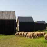 Shed Barns