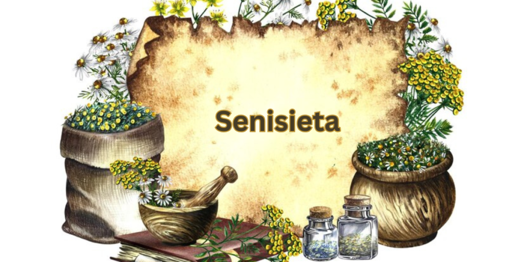 Senisieta