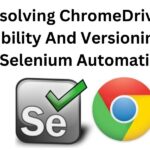 Selenium ChromeDriver