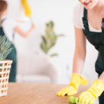 Cleaning Services