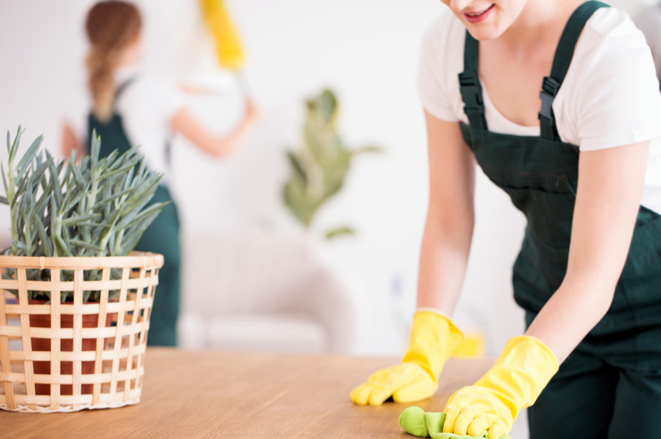 Cleaning Services