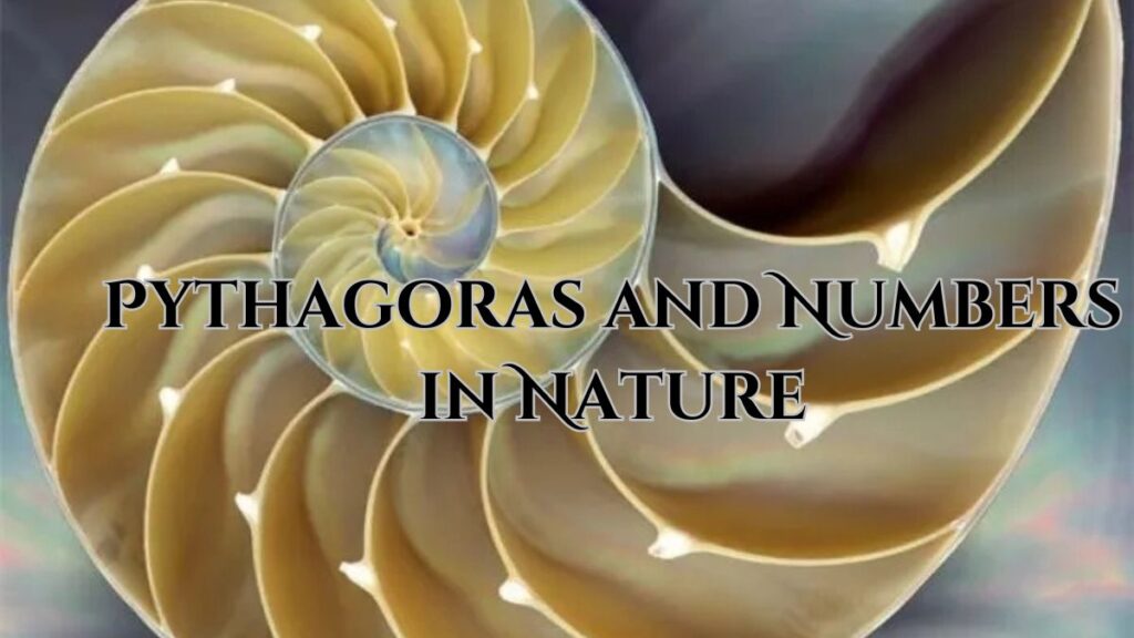 Pythagoras and Numbers in Nature