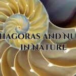 Pythagoras and Numbers in Nature