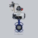 Double Offset VS Triple Offset Butterfly Valve