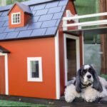 Large Outdoor Dog Kennel