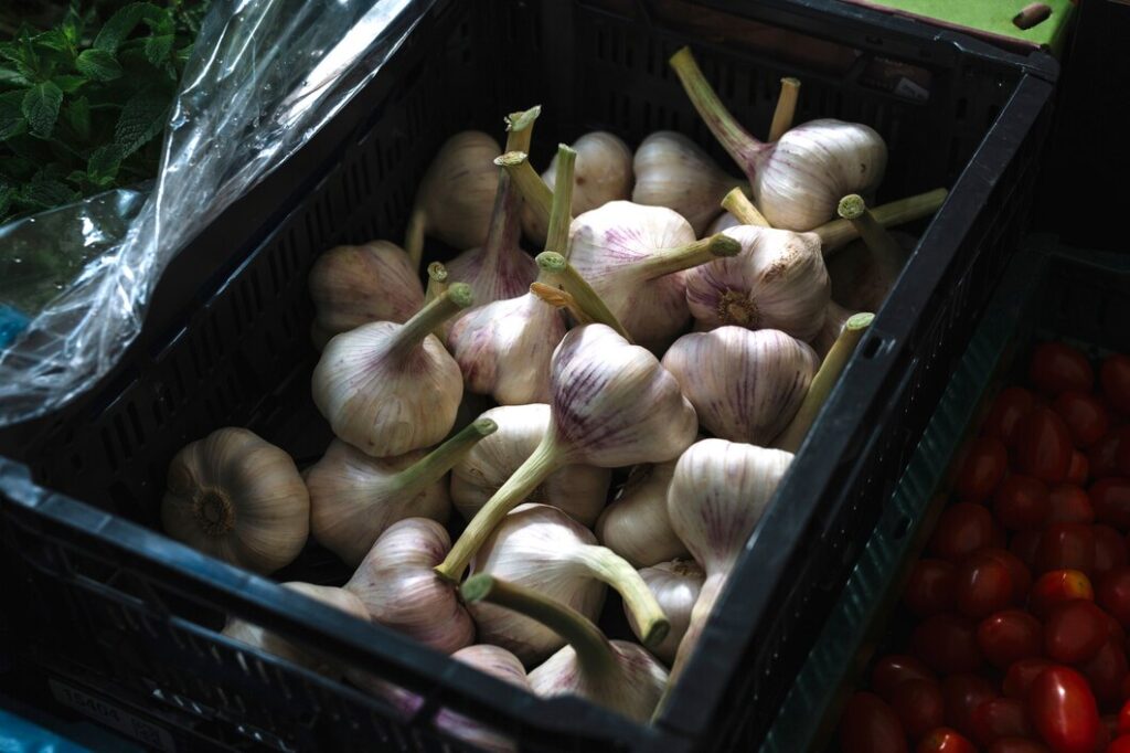 Marketing Garlic Products in Local Communities