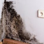 Preventing Mold