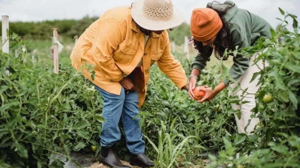 Food Forests AND Regenerative Gardening