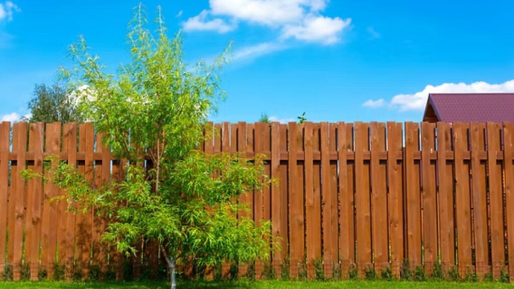 Wood Fence’s Lifespan