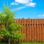 Wood Fence’s Lifespan