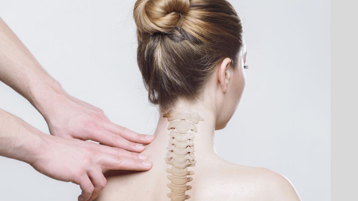 Spinal Cord