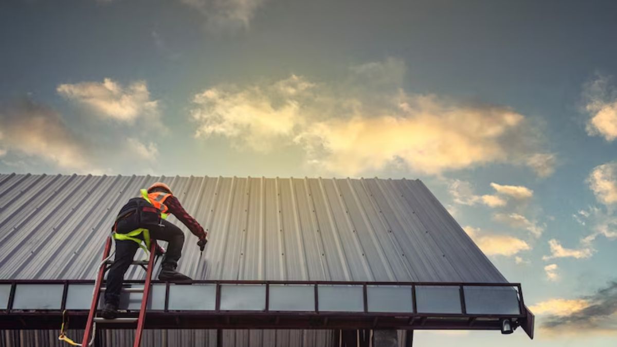 Roof Maintenance