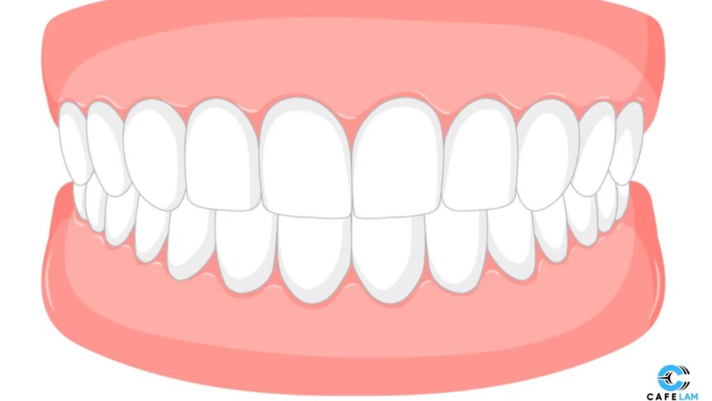 Maintaining Healthy Gums