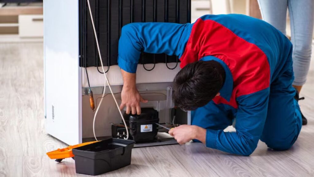 Refrigerator Compressor