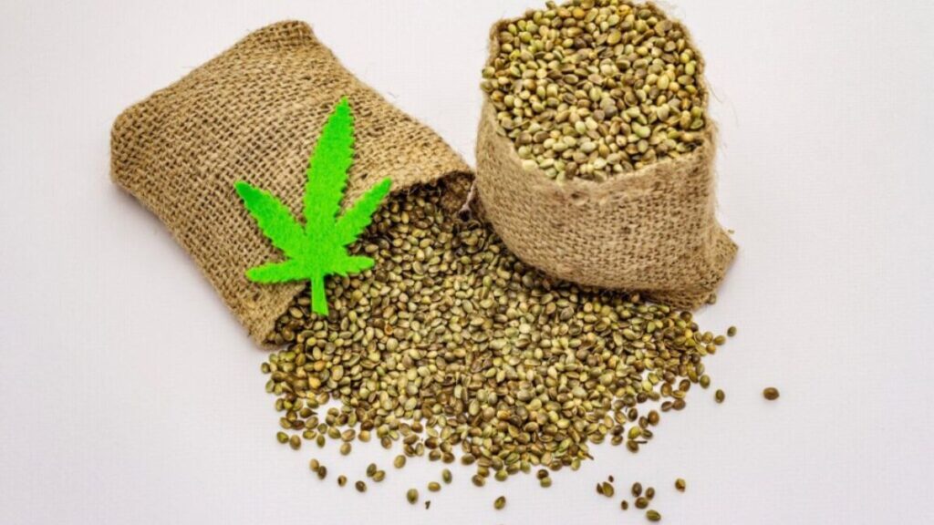 Cannabis Products