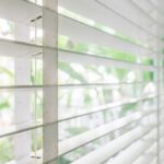 Modern Roller Shades