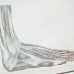 Foot Nerve Issues