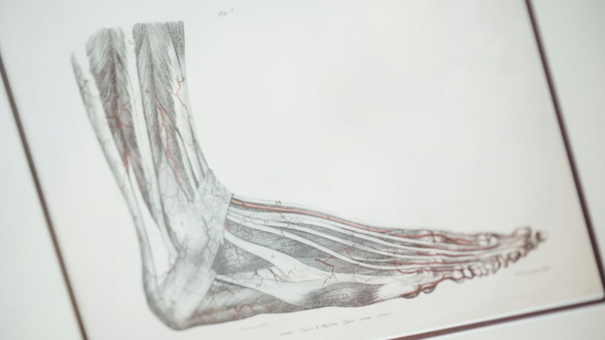 Foot Nerve Issues