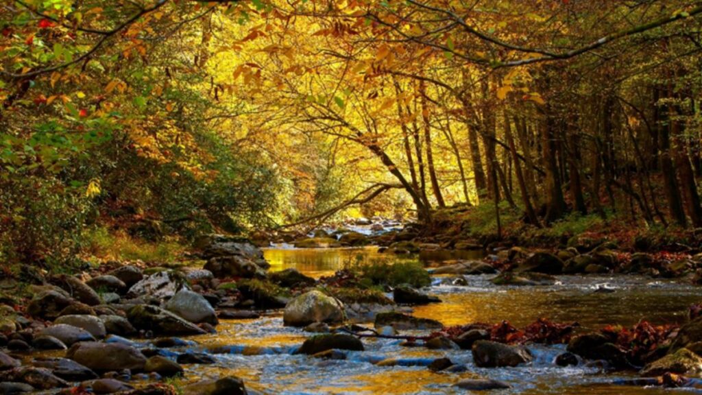 Smoky Mountains