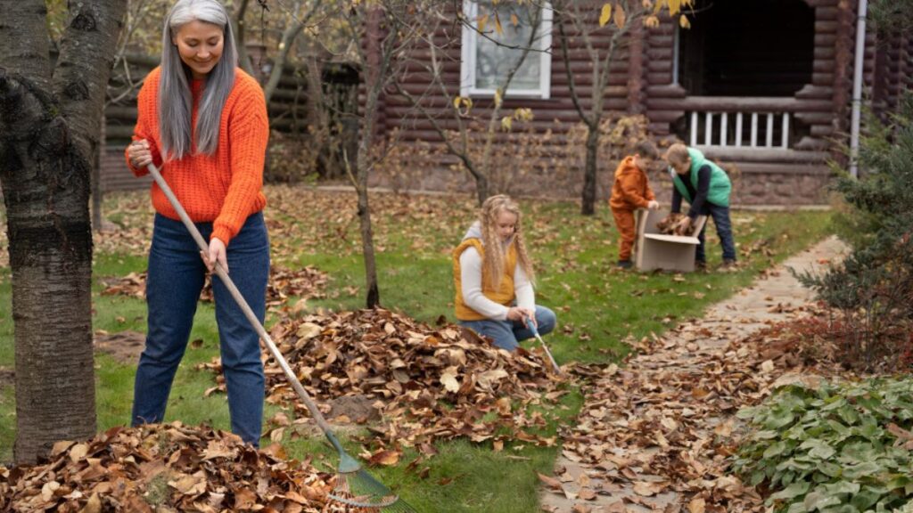 Backyard Cleaning
