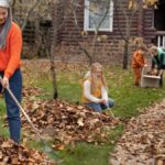 Backyard Cleaning