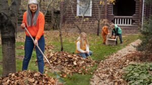 Backyard Cleaning