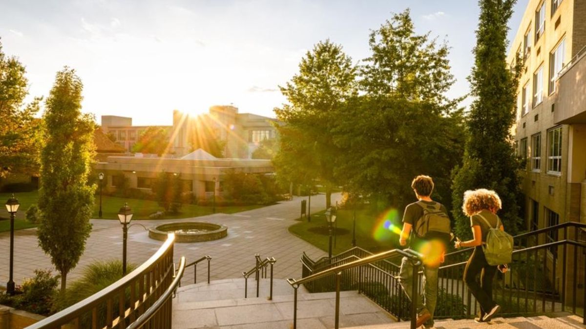 Harvard University