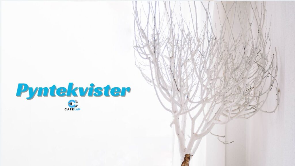 Pyntekvister