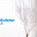Pyntekvister