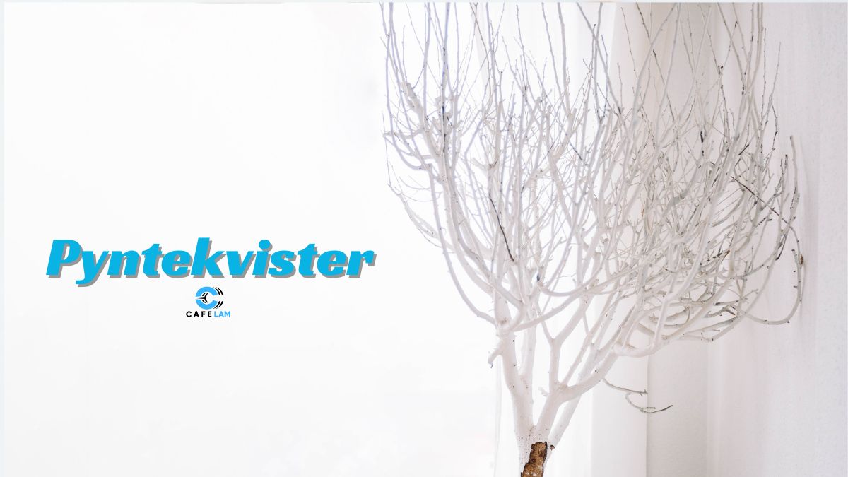 Pyntekvister