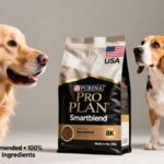 A Guide to the Best Dog Food Made in the USA