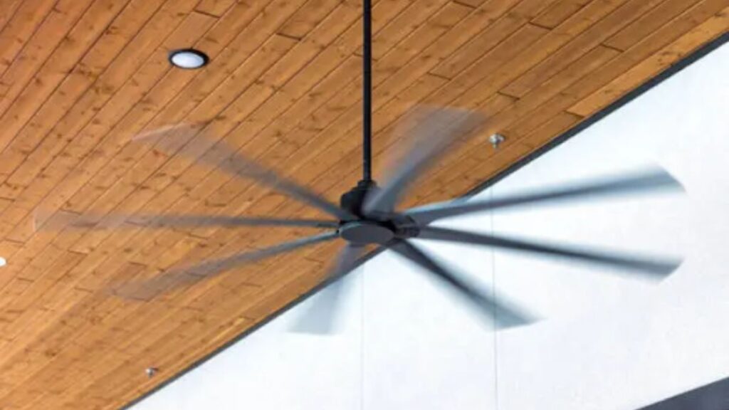 Axis Fans