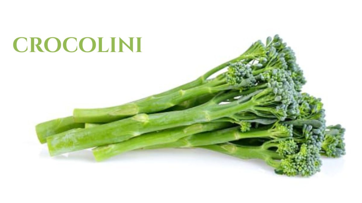 Crocolini