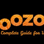 doozoo works