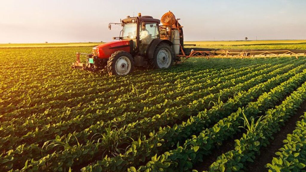 landbouw economisch instituut