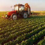 landbouw economisch instituut