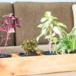 Tiered Planter Systems