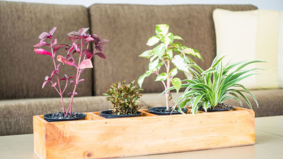 Tiered Planter Systems