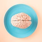 The Gut-Brain Axis Explained Simply: A Comprehensive Guide