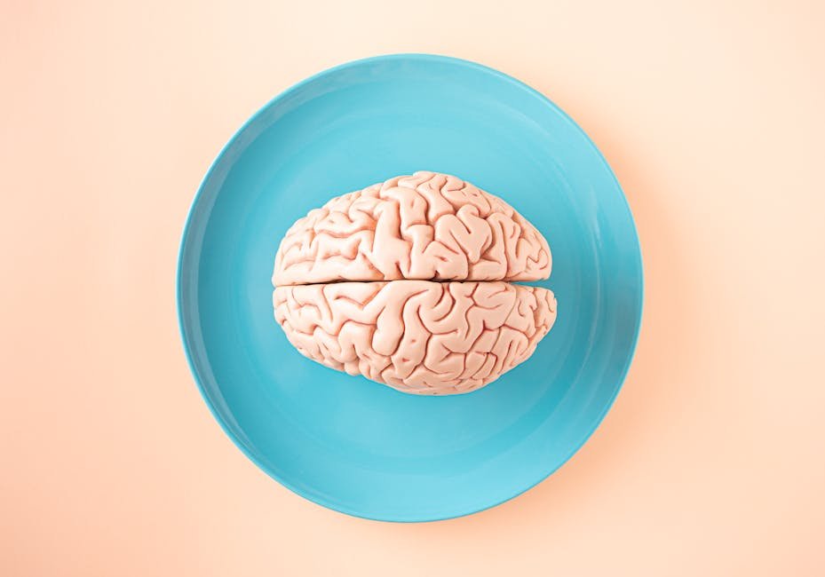 The Gut-Brain Axis Explained Simply: A Comprehensive Guide