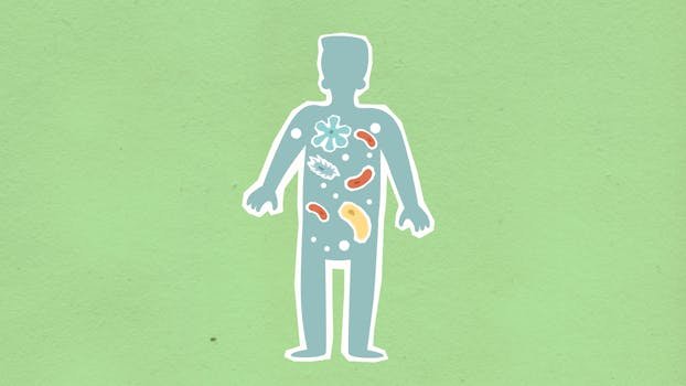 how does gut microbiome influence mental health