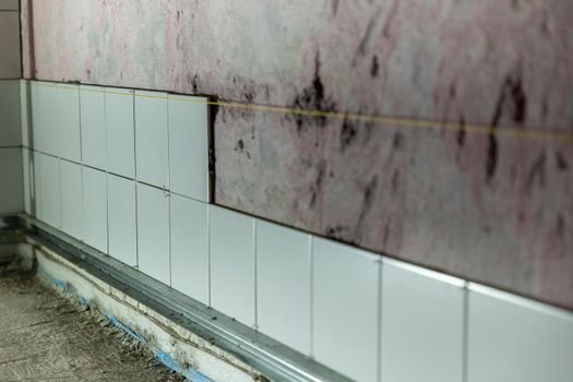 designers are predicting new flooring and tile trends for 2026